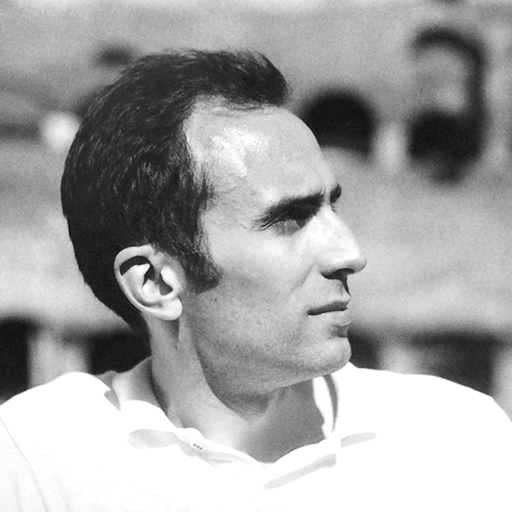 Michael Pchelnikov Logo